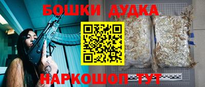 гашик Обь