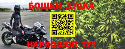 гашик Обь