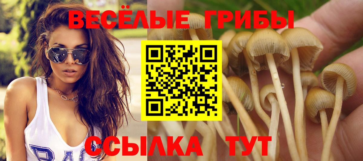 Псилоцибиновые грибы Psilocybine cubensis  Вход с VPN  Строитель 
